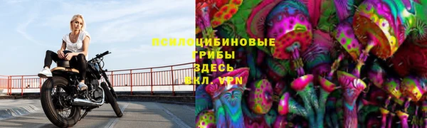 МДПВ Весьегонск