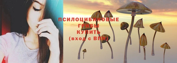 ешки Нефтекумск