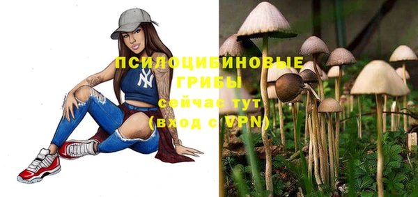 ешки Нефтекумск