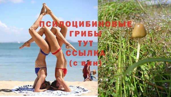 круглые Надым