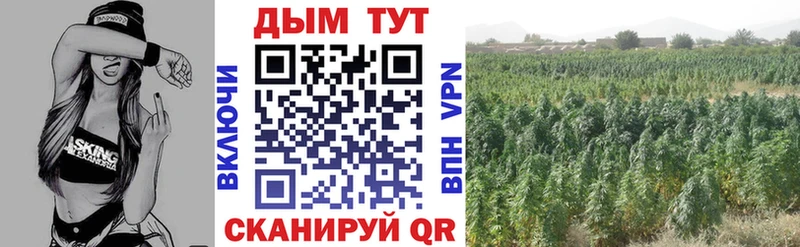 Канабис White Widow  Купино 